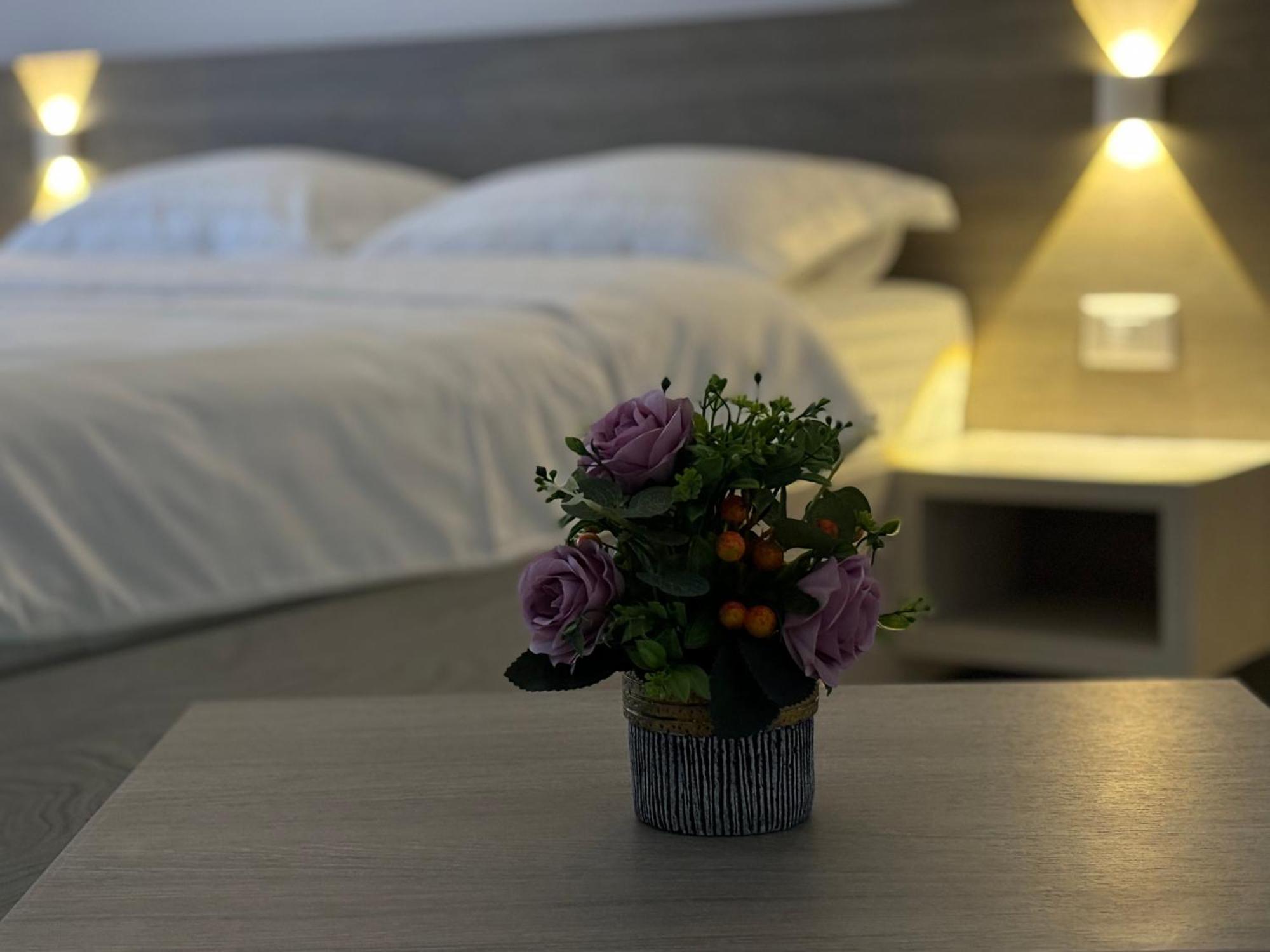 Appartement Celine Confort N. D. Cocea *