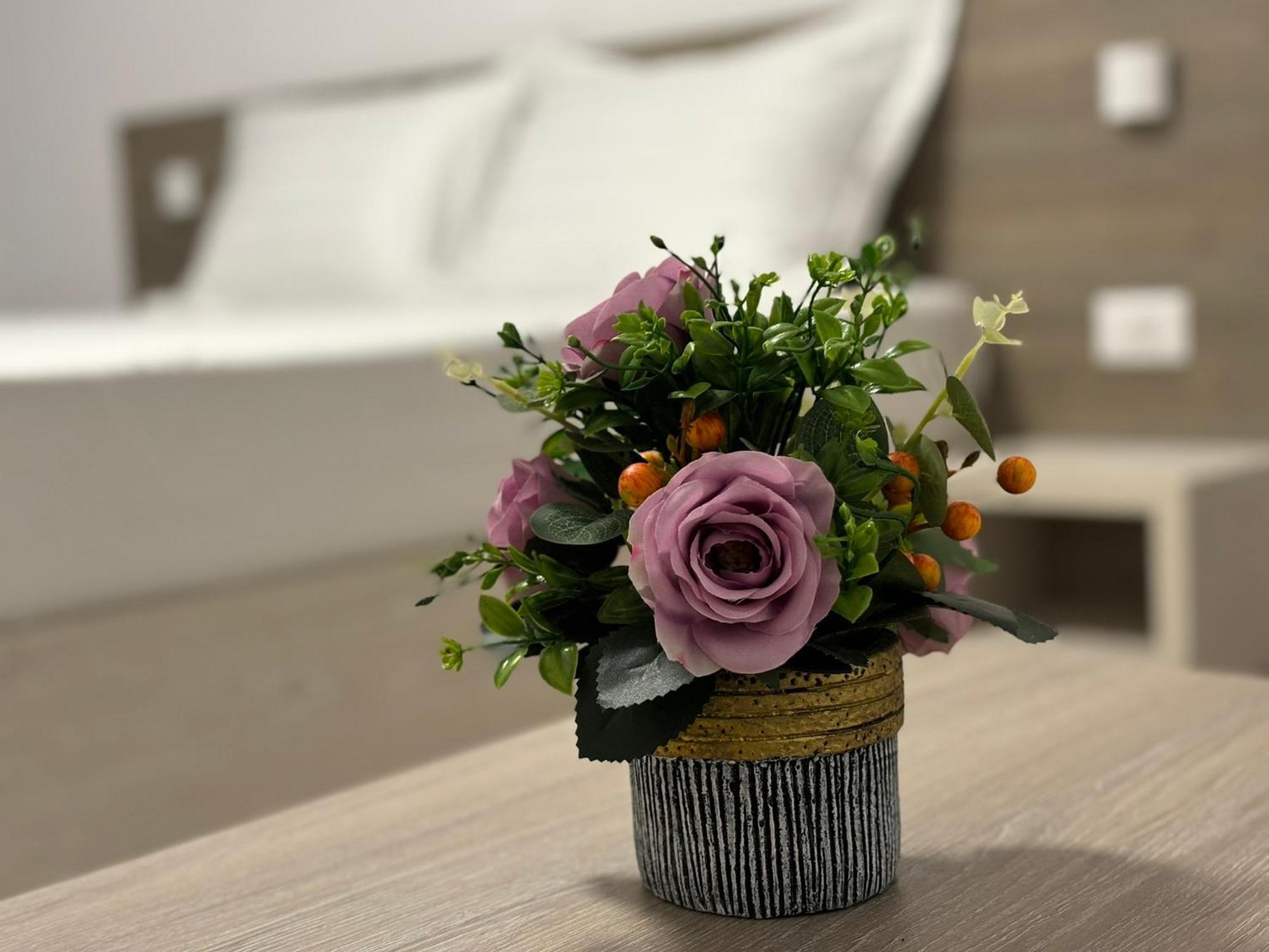 Appartement Celine Confort N. D. Cocea *